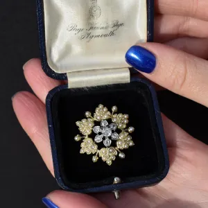 Antique 15ct Gold Victorian Pearl and Diamond Star Brooch and Pendant