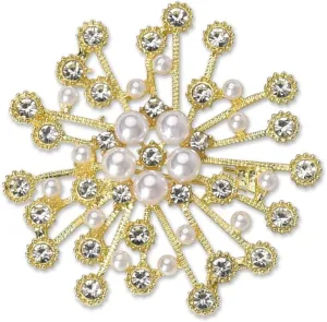 Brooch Pins for Women Girls Pearl Lapel Pin Clip for Dress Coats Elegant Clothing Accessories Decorations for Women Girl