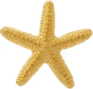 Charm Starfish Brooch Pin for Women Fashion Chunky Plated Gold Sea Star Lapel Pin Summer Ocean Beach Jewelry Gifts