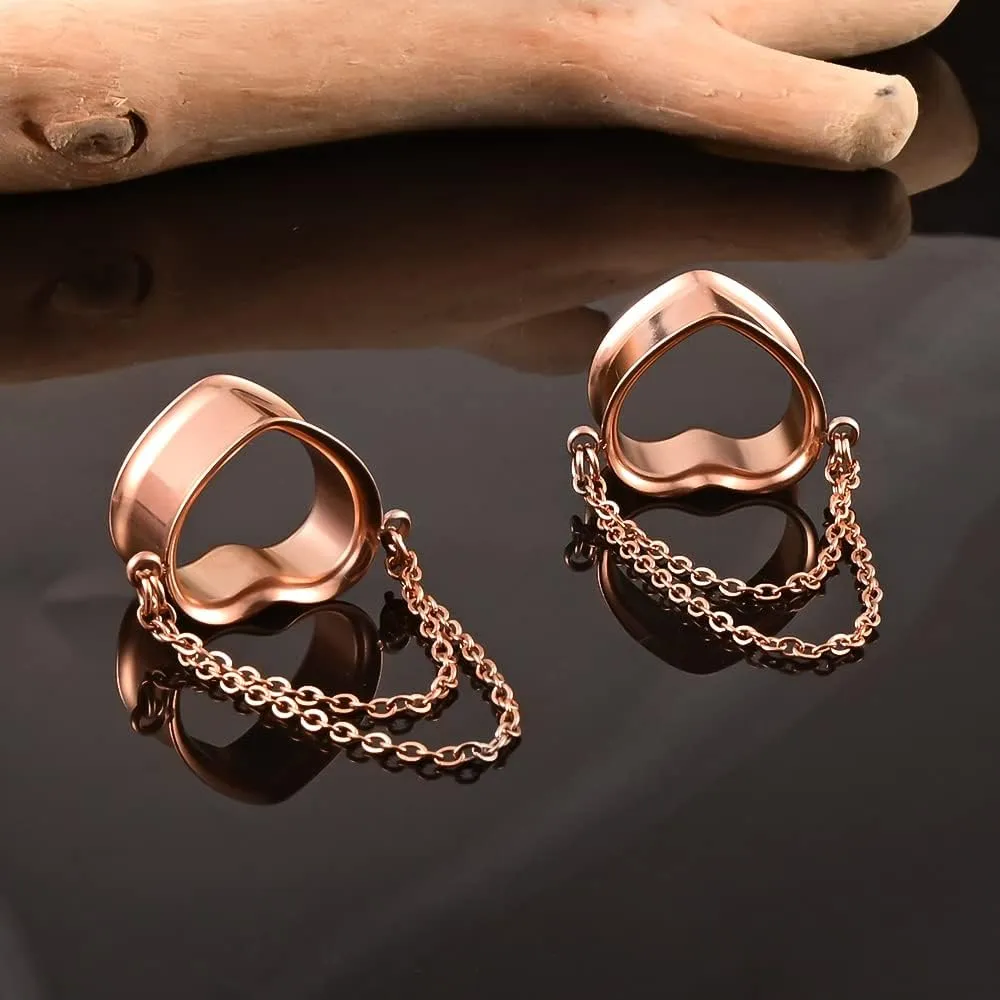 DOEARKO 2 Pcs Ear Gauges Simple Style Tunnels Dangle Plugs with Chain Elegant Stretchers Hypoallergenic Stainless Steel Body Jewelry